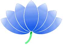 Angela Cox Lotus Flower Logo